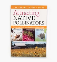 Attracting Native Pollinators