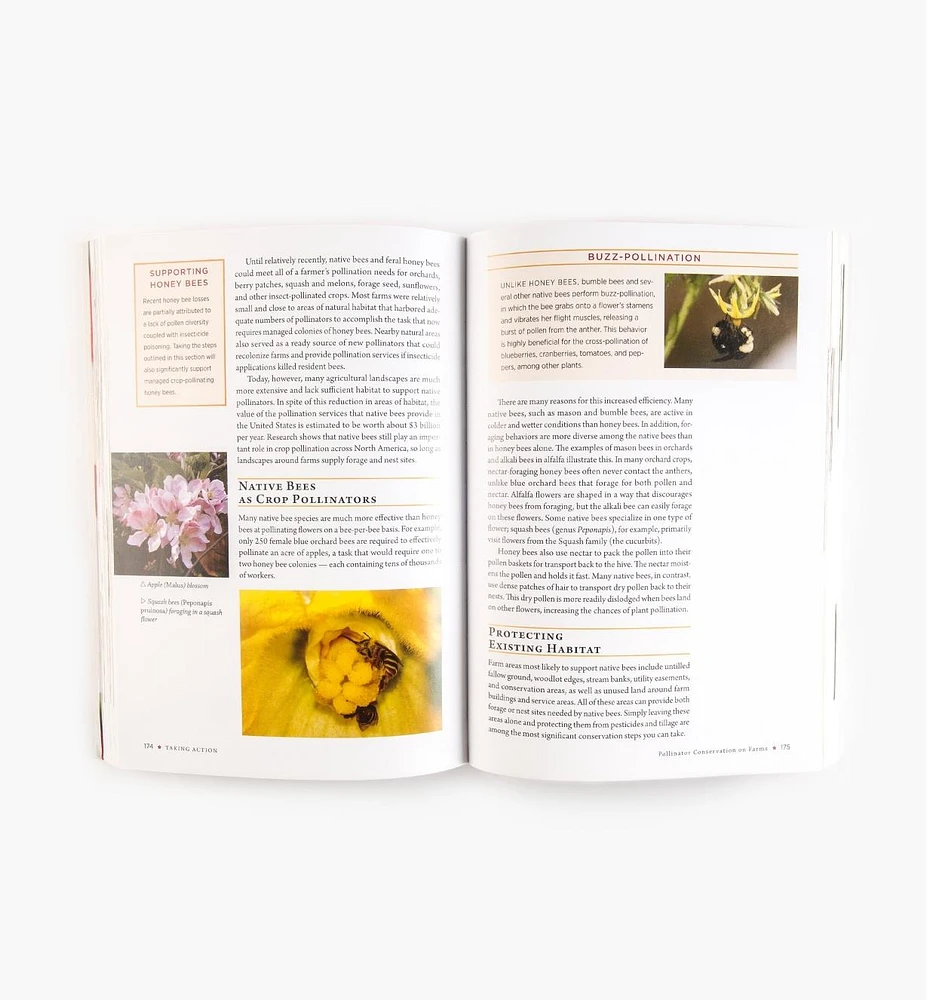 Attracting Native Pollinators