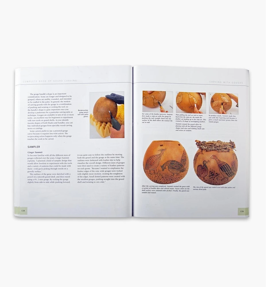 Complete Book of Gourd Carving