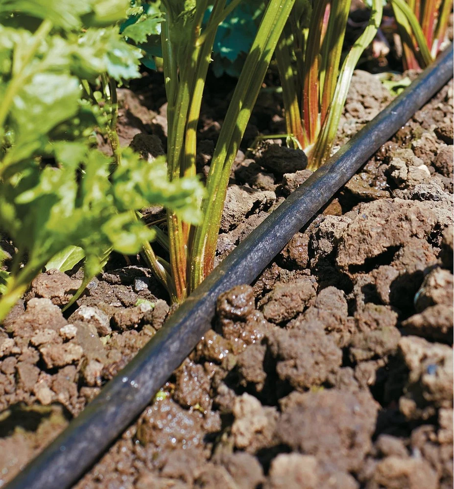 Ensemble de tuyau microporeux pour système d'irrigation goutte à goutte à pompe solaire