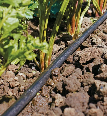 Ensemble de tuyau microporeux pour système d'irrigation goutte à goutte à pompe solaire