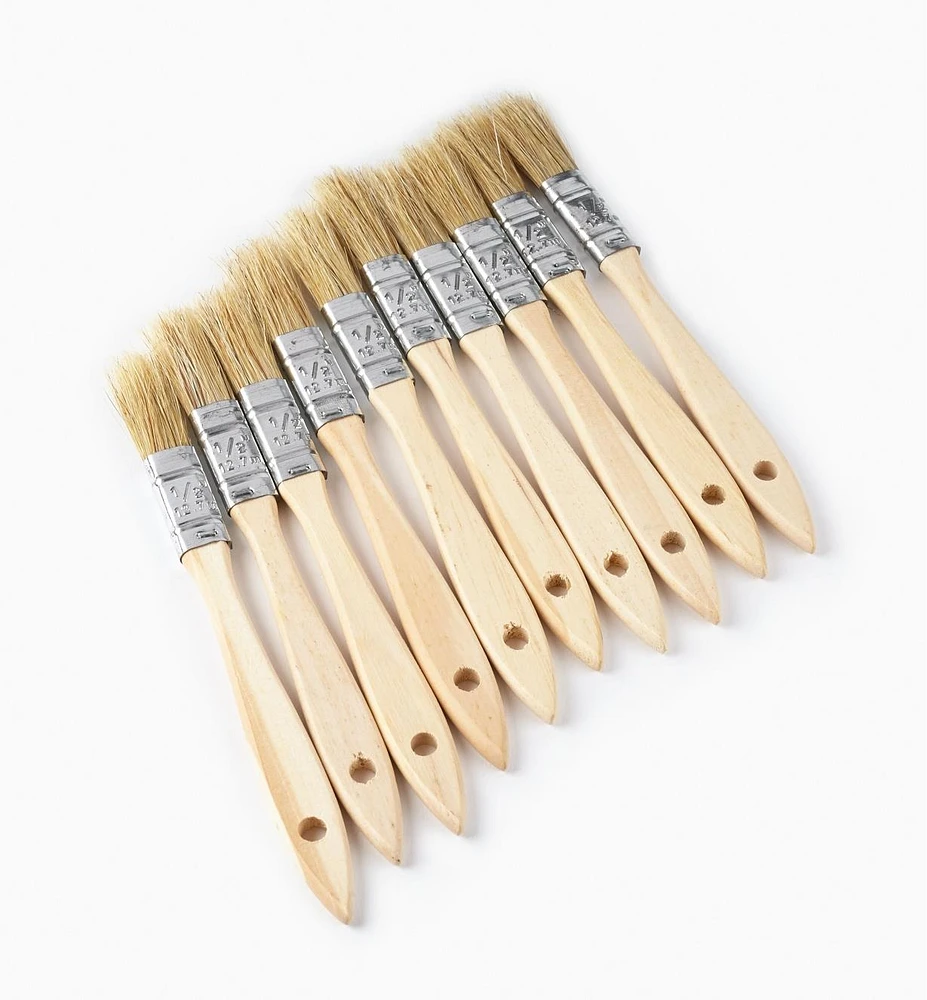 Disposable Natural-Bristle Brushes