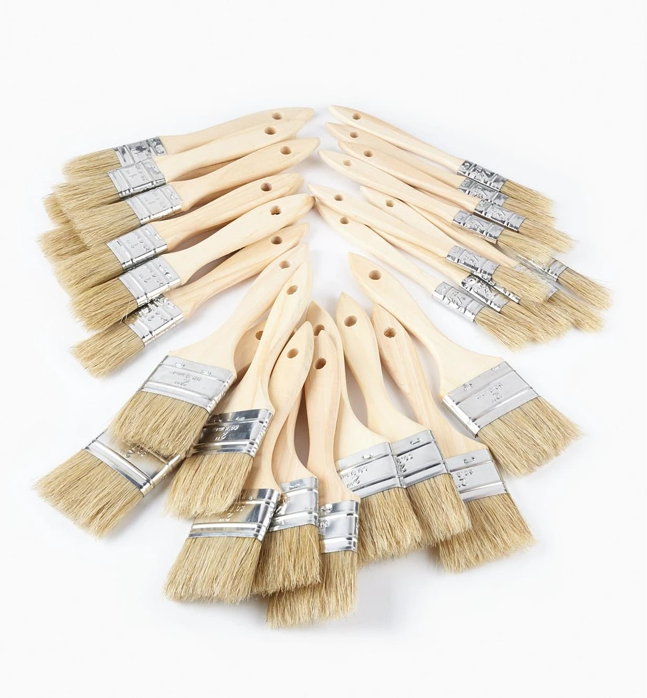 Disposable Natural-Bristle Brushes