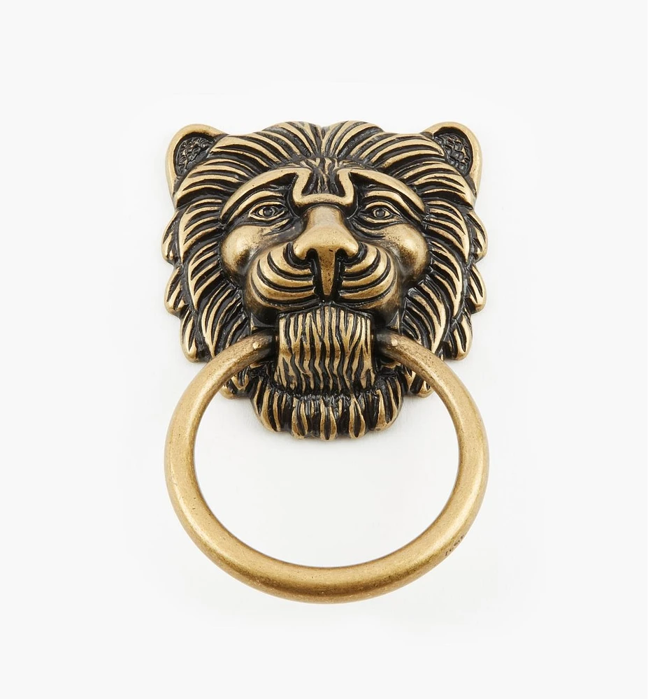 Lion's Head Ring Pulls