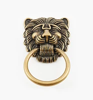 Lion's Head Ring Pulls