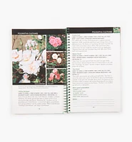 Miracle-Gro Roses