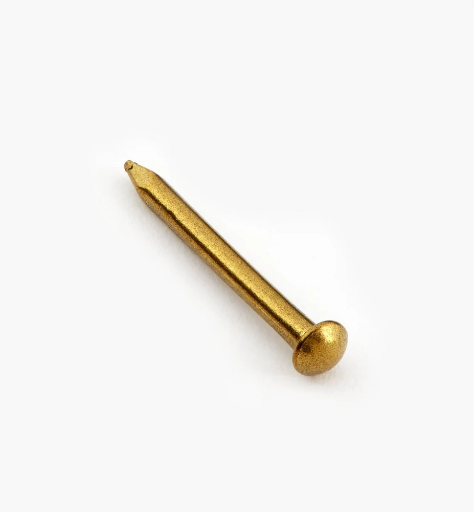 Solid Brass Escutcheon Pins