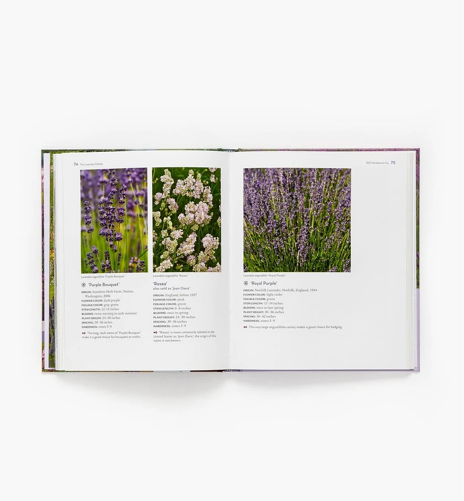 The Lavender Lover's Handbook