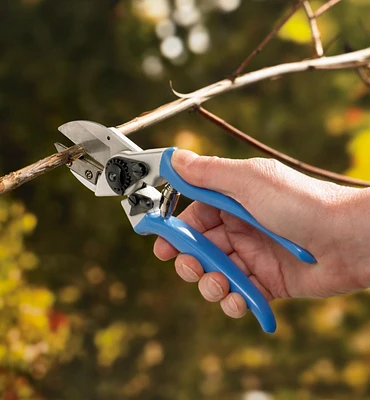 High-Quality Anvil Pruner