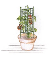 Cage à tomates pour jardinières