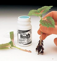 Root Stimulator