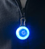 Carabiner LED Light