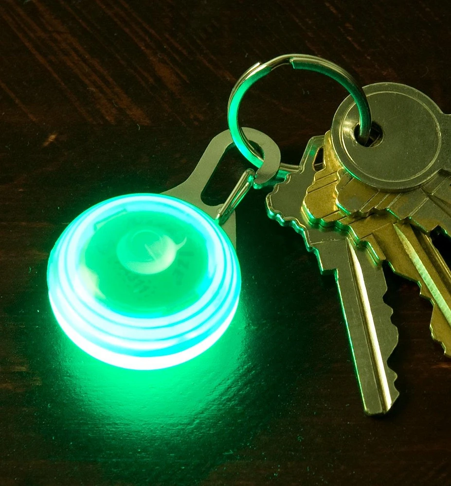 Carabiner LED Light