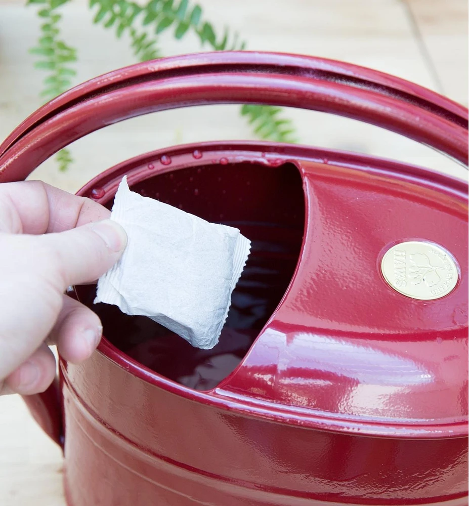 Thé de compost en sachets