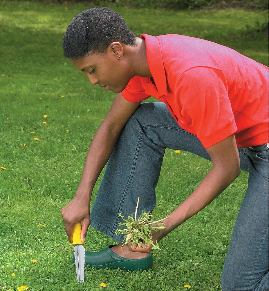 All-Purpose Lifetime Weeder