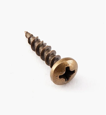 Antique Brass Pan-Head Screws