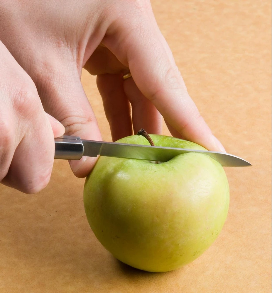 Folding Fruit Knife