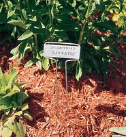 Flower and Plant Markers