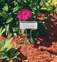 Flower and Plant Markers