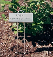 Flower and Plant Markers