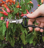 Ciseaux à fleurs forgés