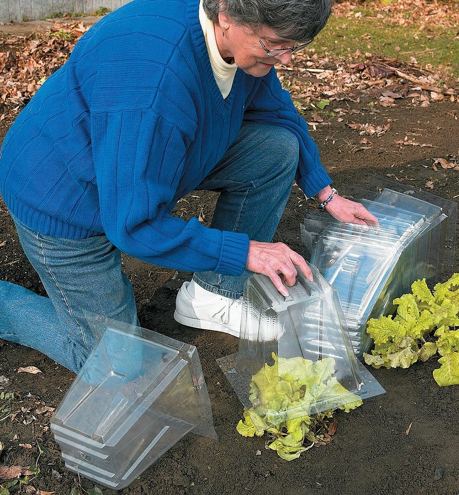 Cloches pour semis