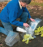 Garden Cloches