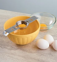 Egg Separator