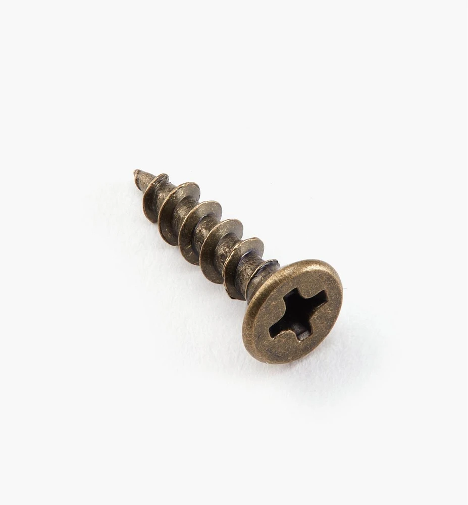 Antique Brass Hinge Screws