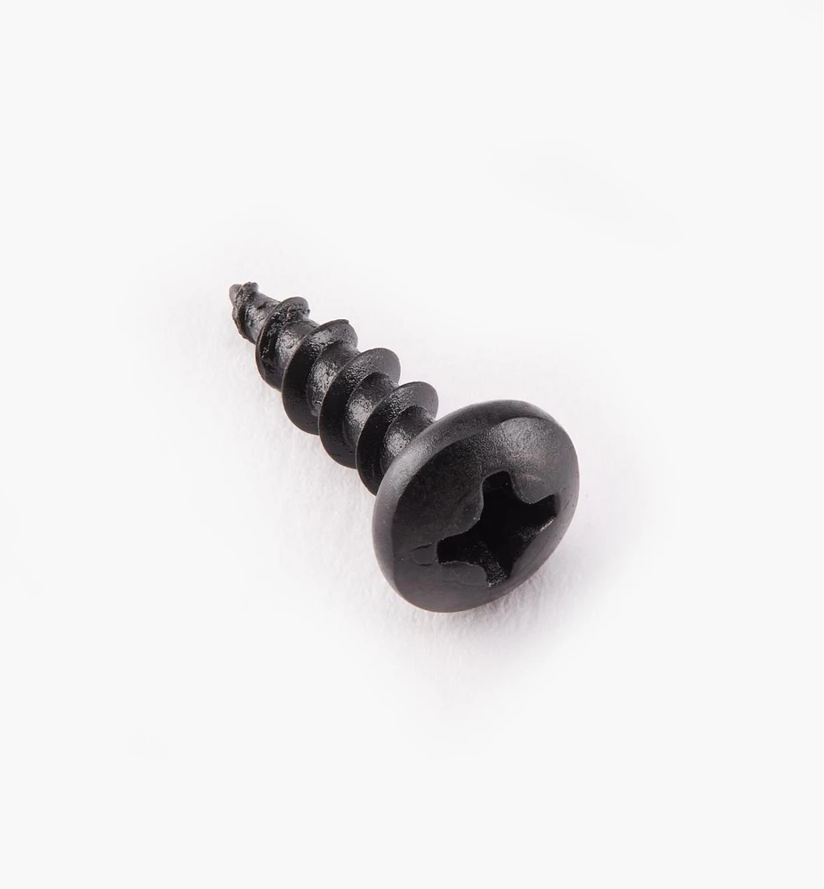 Pan-Head Black Steel Screws