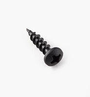 Pan-Head Black Steel Screws