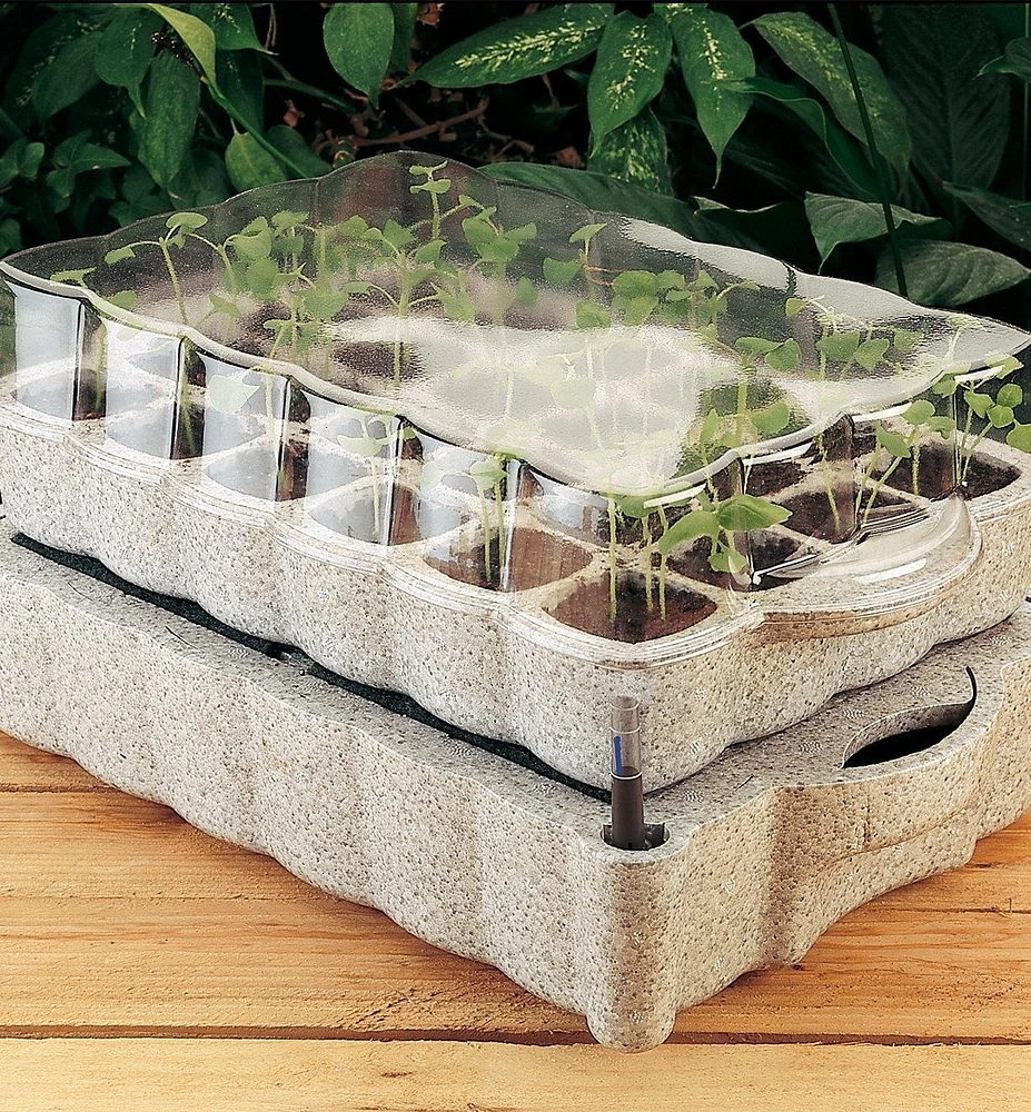 Lee Valley Self-Watering Seed Starter