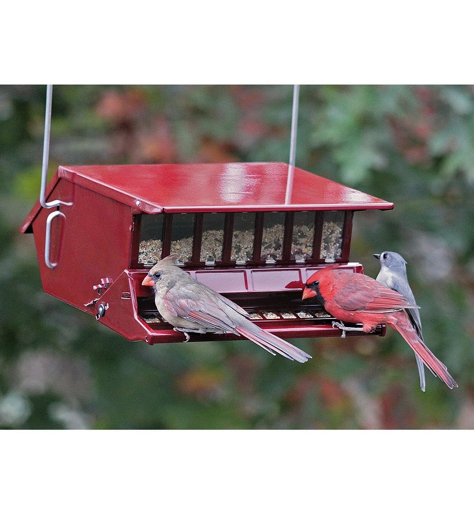 Single-Sided Large Squirrel-Resistant Feeder