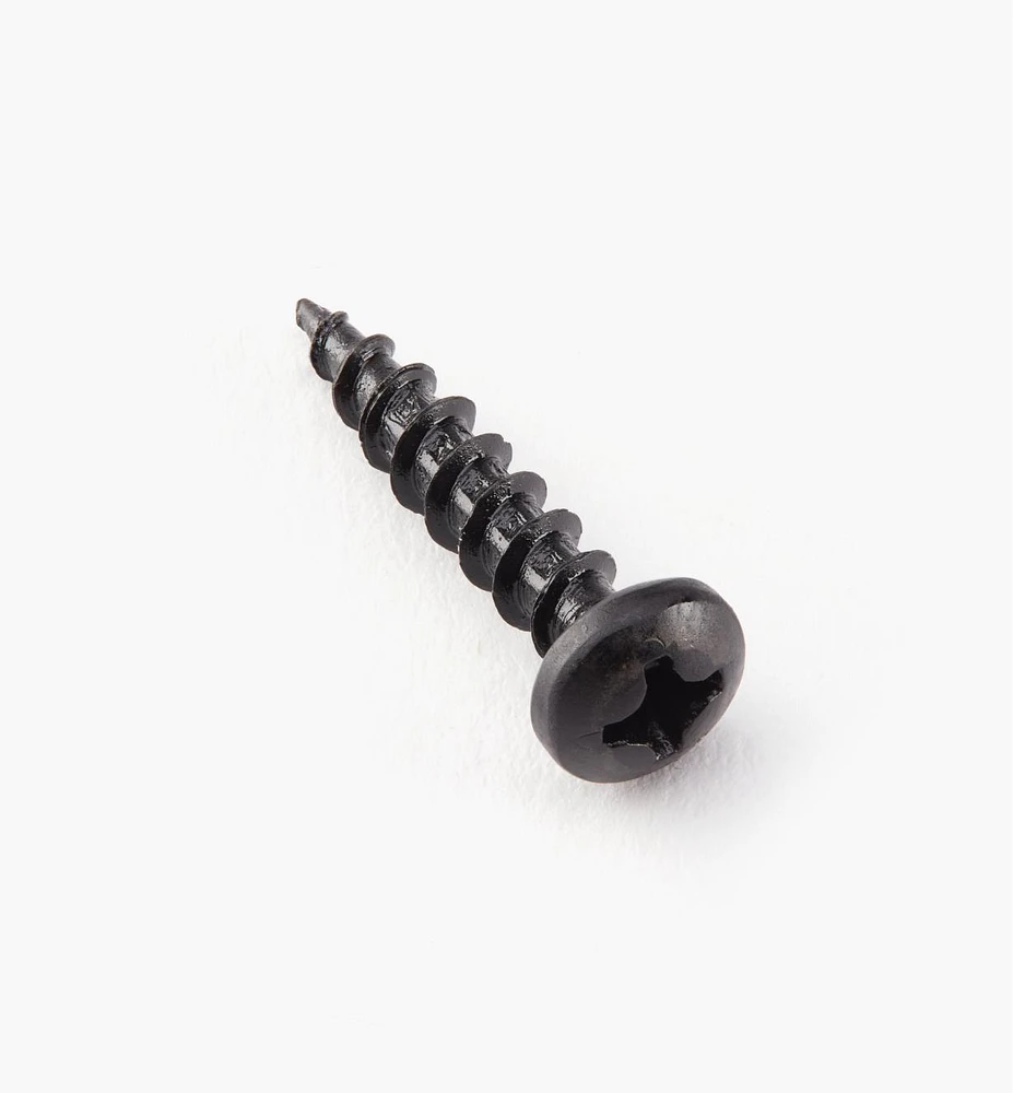 Pan-Head Black Steel Screws