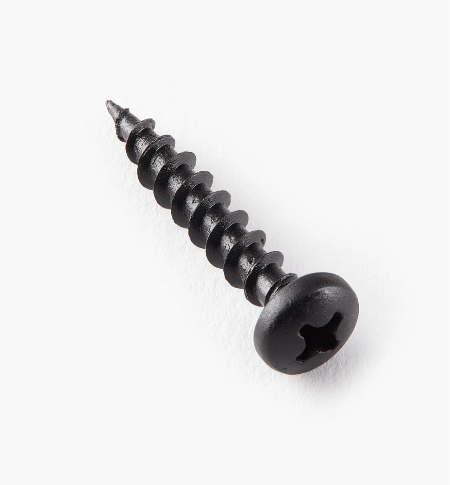 Pan-Head Black Steel Screws