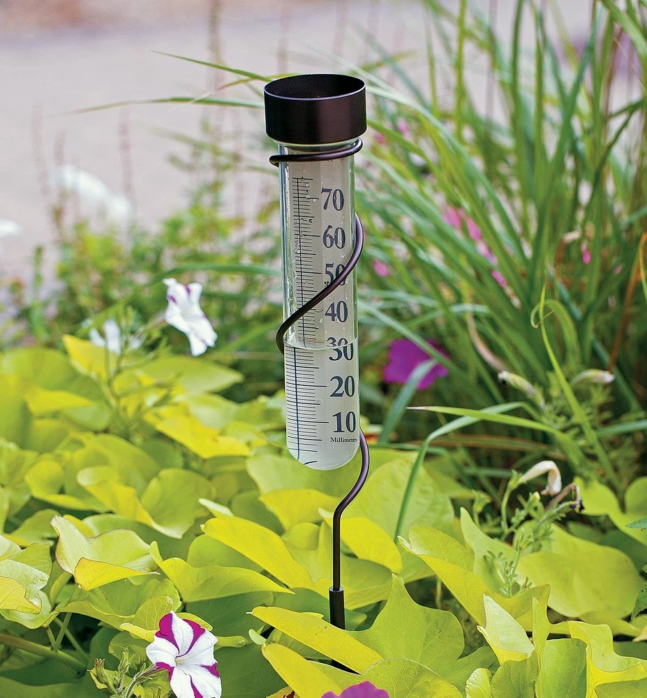 Rain Gauge