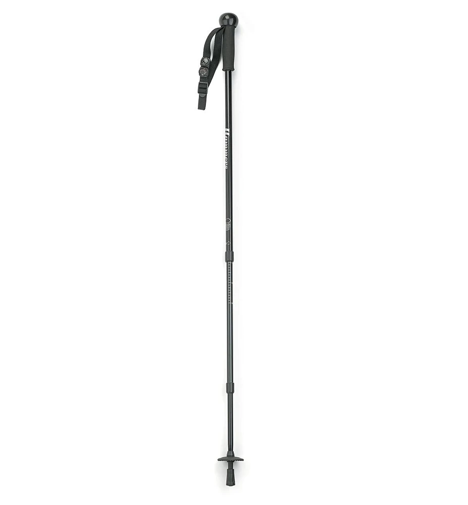 Telescoping Hiking Stick