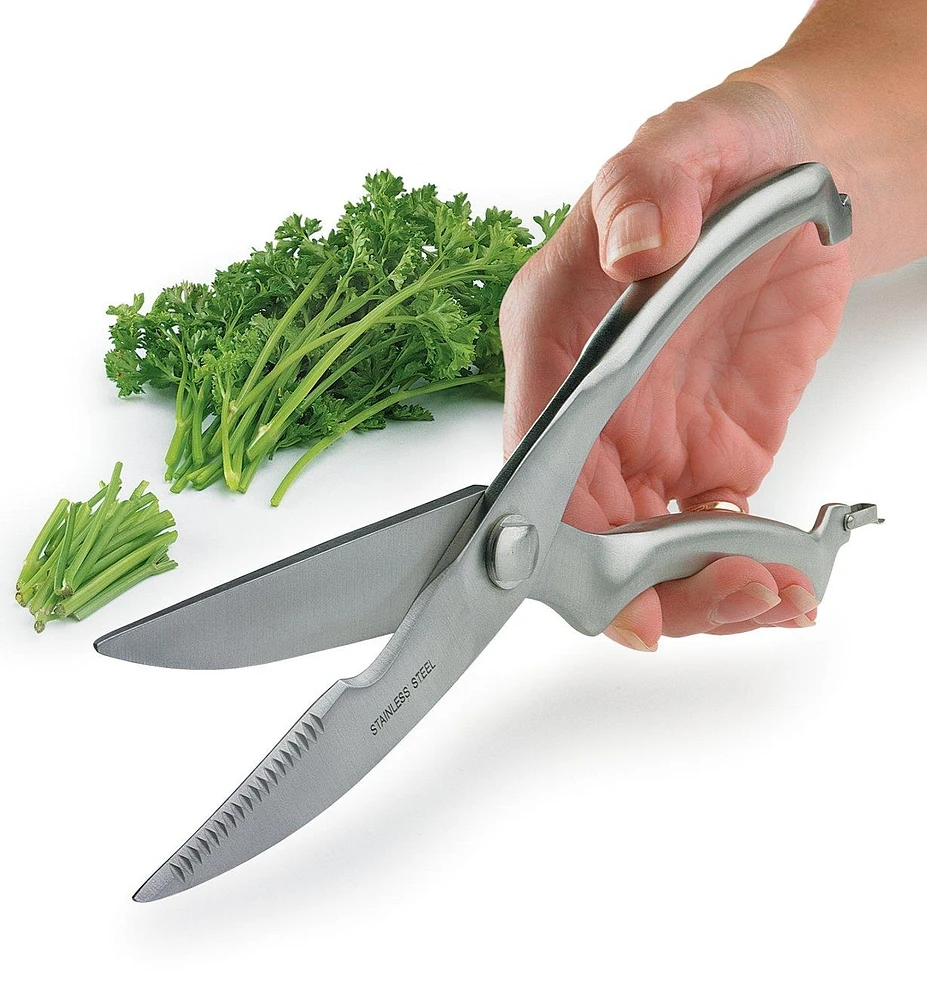 Stainless-Steel Kitchen Shears