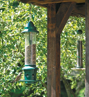 Squirrel Buster Plus Bird Feeder