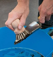 Brosse à récurer