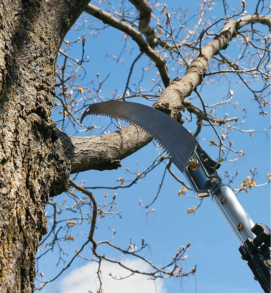 Scie d'élagage à manche télescopique en aluminium