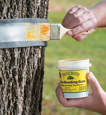 Tree Banding Kit