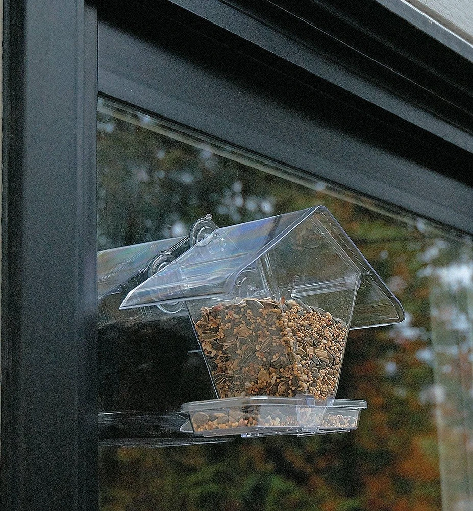 Window Bird Feeder