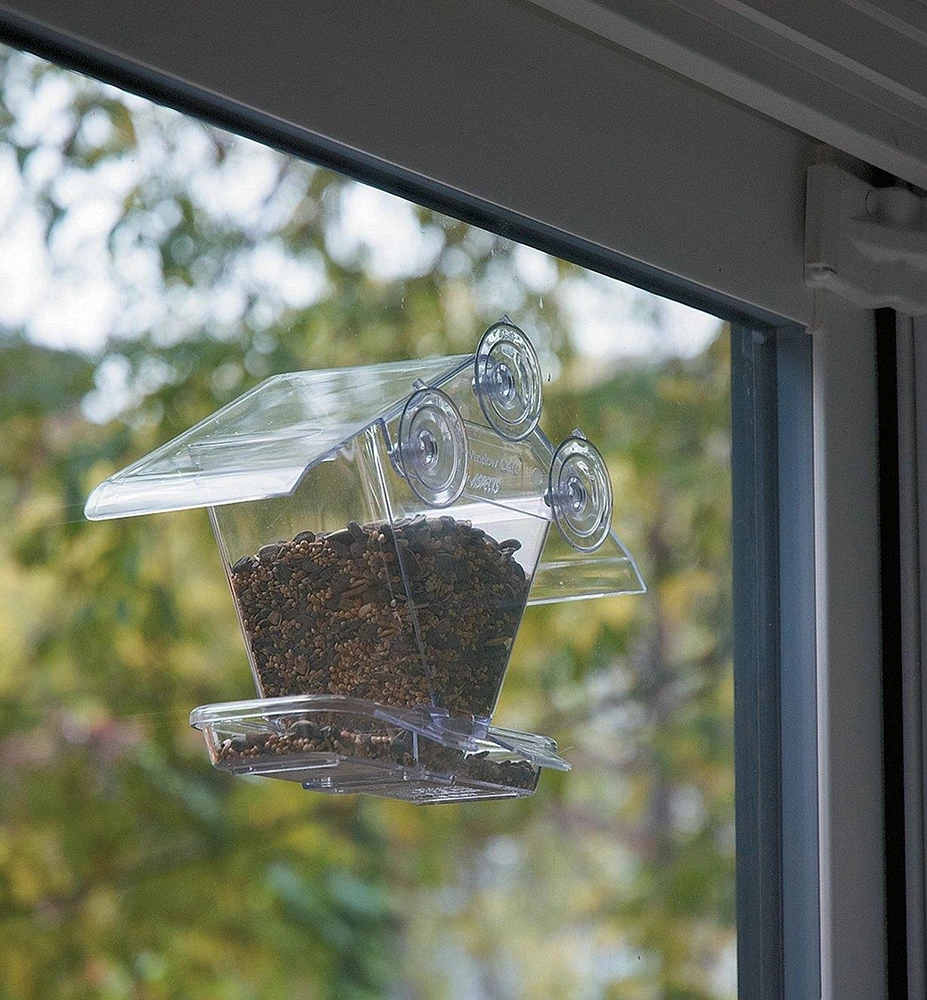 Window Bird Feeder