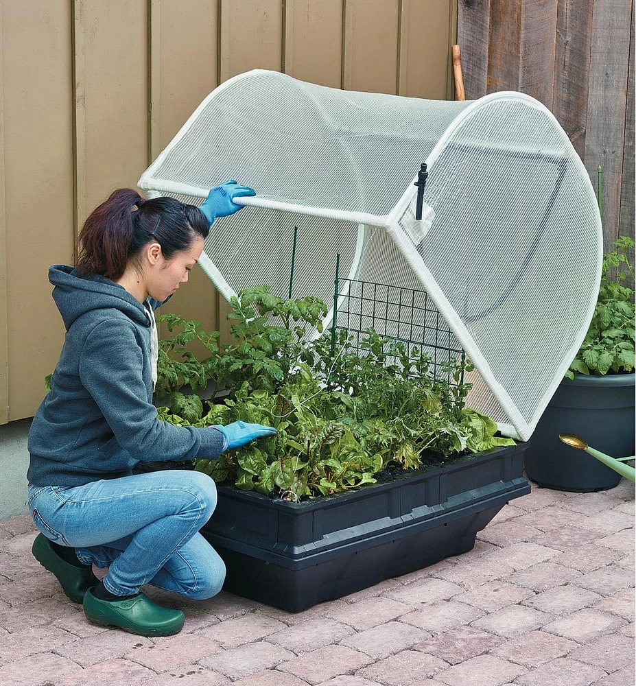 Vegepod Container Garden