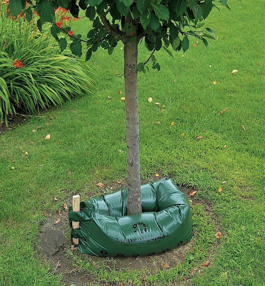 Réservoir longue durée pour arbres