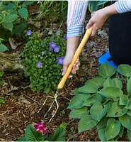 Lee Valley Perennial Fork