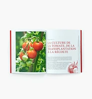 La tomate : de la terre à la table