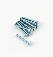 T-Bolts for Veritas T-Slot Tracks (5/16-18 Thread)