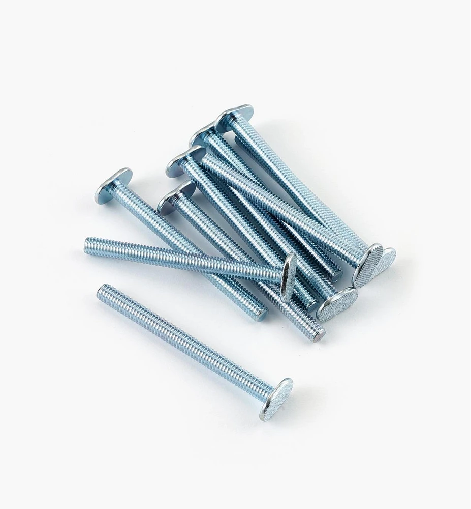 T-Bolts for Veritas T-Slot Tracks (5/16-18 Thread)